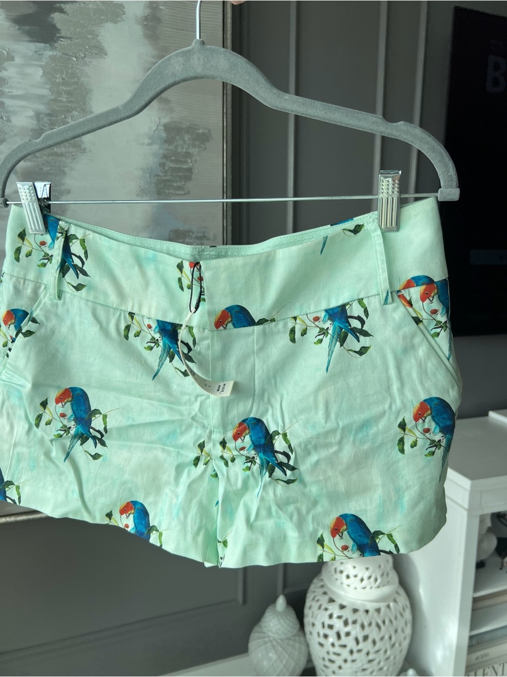 Alice + Olivia Mint Green Birds in Paradise Print Shorts